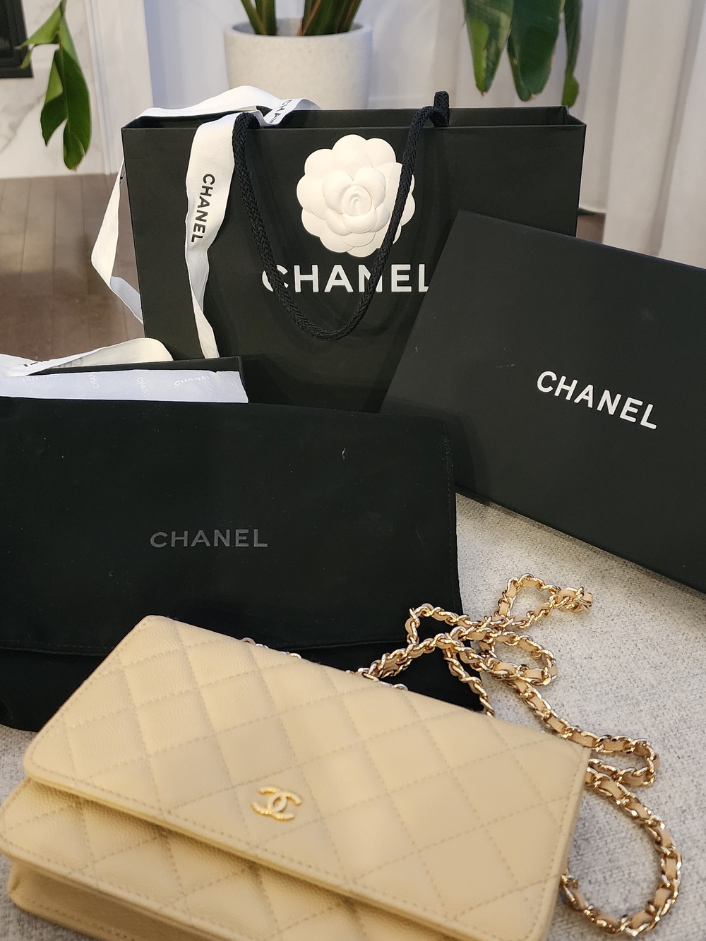 2021 CHANEL Beige Wallet-On-Chain Caviar WOC